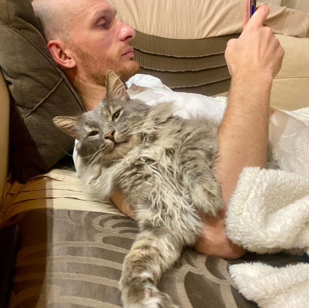 Котик-рысик ищет дом. В дар!, Серый, Автозаводская, Кот в добрые руки