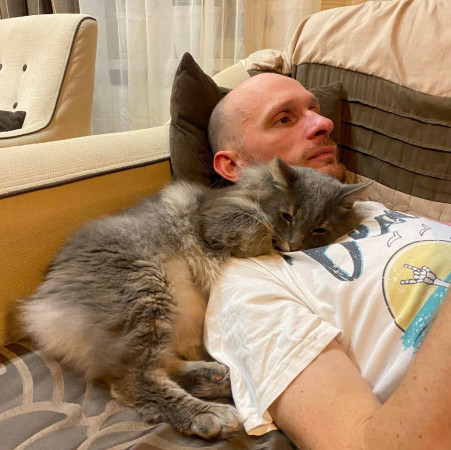 Котик-рысик ищет дом. В дар!, Серый, Автозаводская, Кот в добрые руки